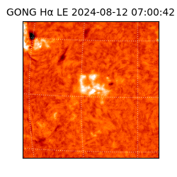 gong - 2024-08-12T07:00:42
