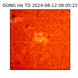 gong - 2024-08-12T08:05:22