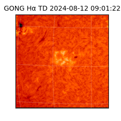 gong - 2024-08-12T09:01:22