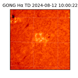 gong - 2024-08-12T10:00:22