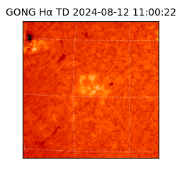 gong - 2024-08-12T11:00:22