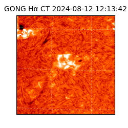 gong - 2024-08-12T12:13:42