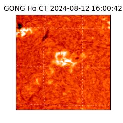 gong - 2024-08-12T16:00:42