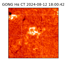 gong - 2024-08-12T18:00:42