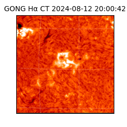 gong - 2024-08-12T20:00:42