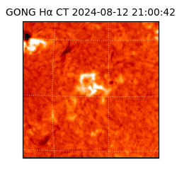 gong - 2024-08-12T21:00:42