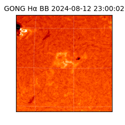 gong - 2024-08-12T23:00:02