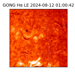 gong - 2024-08-12T01:00:42