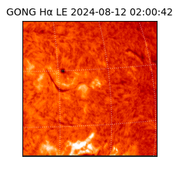 gong - 2024-08-12T02:00:42