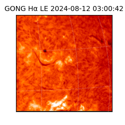 gong - 2024-08-12T03:00:42