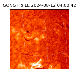 gong - 2024-08-12T04:00:42
