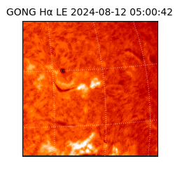 gong - 2024-08-12T05:00:42