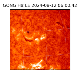 gong - 2024-08-12T06:00:42