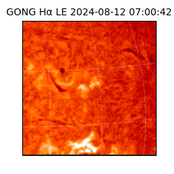 gong - 2024-08-12T07:00:42