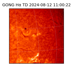 gong - 2024-08-12T11:00:22