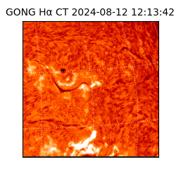 gong - 2024-08-12T12:13:42