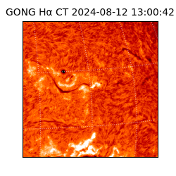 gong - 2024-08-12T13:00:42