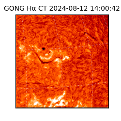 gong - 2024-08-12T14:00:42