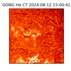 gong - 2024-08-12T15:00:42