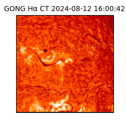 gong - 2024-08-12T16:00:42
