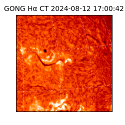gong - 2024-08-12T17:00:42