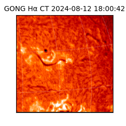 gong - 2024-08-12T18:00:42