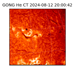 gong - 2024-08-12T20:00:42