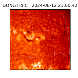 gong - 2024-08-12T21:00:42