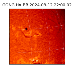 gong - 2024-08-12T22:00:02
