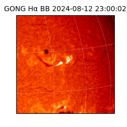 gong - 2024-08-12T23:00:02