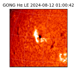 gong - 2024-08-12T01:00:42