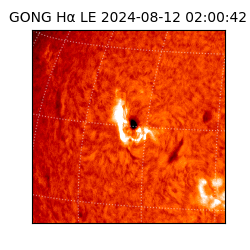 gong - 2024-08-12T02:00:42