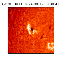 gong - 2024-08-12T03:00:42