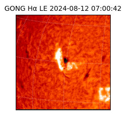 gong - 2024-08-12T07:00:42