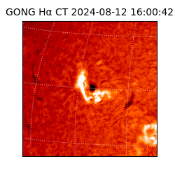 gong - 2024-08-12T16:00:42