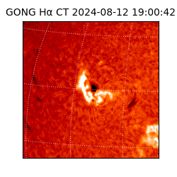 gong - 2024-08-12T19:00:42