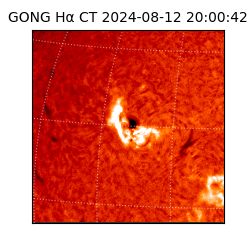 gong - 2024-08-12T20:00:42