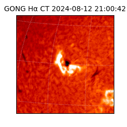 gong - 2024-08-12T21:00:42