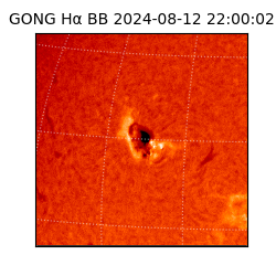 gong - 2024-08-12T22:00:02
