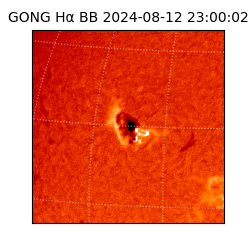 gong - 2024-08-12T23:00:02