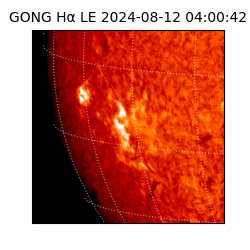 gong - 2024-08-12T04:00:42
