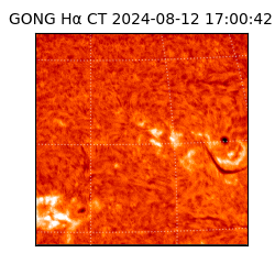 gong - 2024-08-12T17:00:42