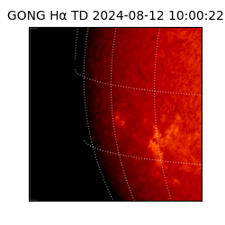 gong - 2024-08-12T10:00:22