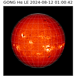 gong - 2024-08-12T01:00:42