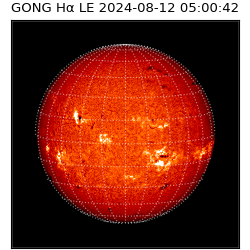 gong - 2024-08-12T05:00:42