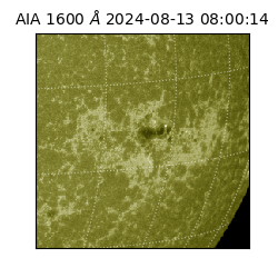 saia - 2024-08-13T08:00:14.126000