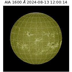 saia - 2024-08-13T12:00:14.126000