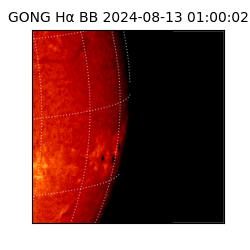 gong - 2024-08-13T01:00:02