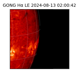 gong - 2024-08-13T02:00:42