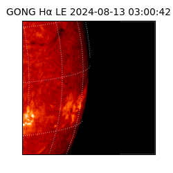 gong - 2024-08-13T03:00:42